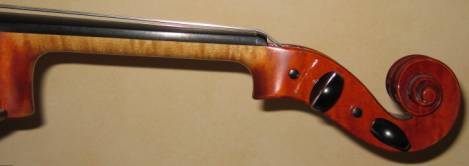 photo of viola